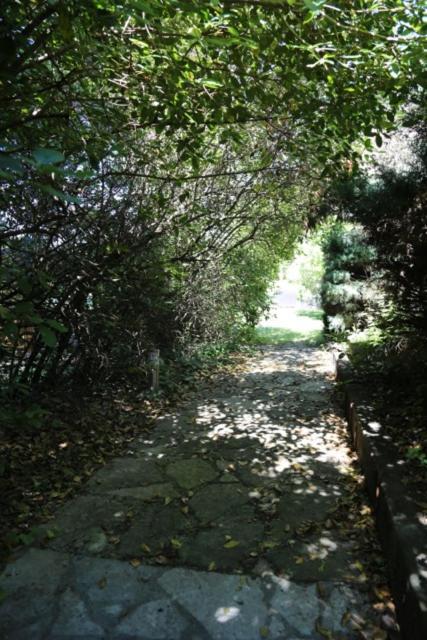 A L'Oree Des Cevennes Aigremont Exterior photo