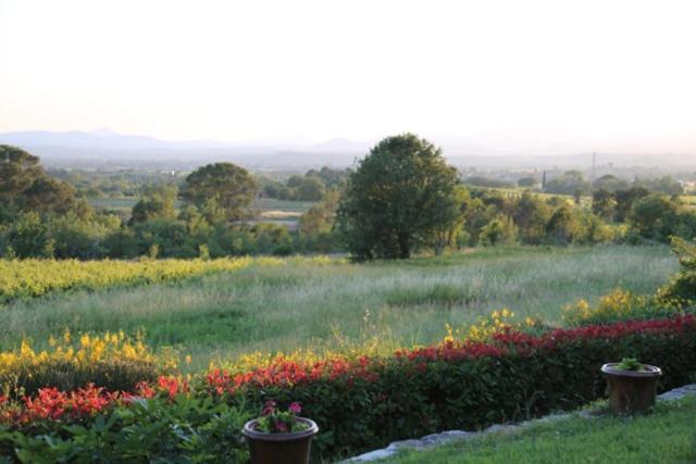 A L'Oree Des Cevennes Aigremont Exterior photo